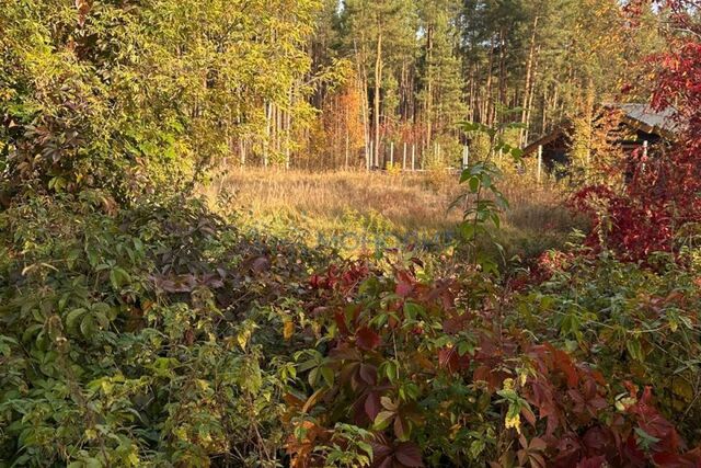 рп Большое Козино ул Самойлова 1б фото