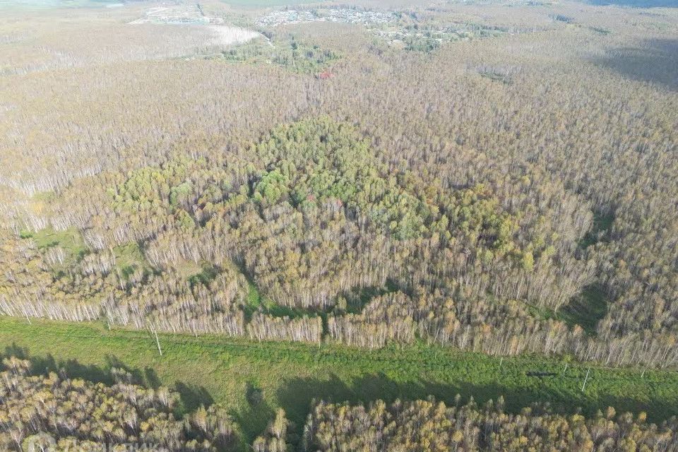 земля р-н Нижнетавдинский снт Сундукуль ул Малиновая фото 3