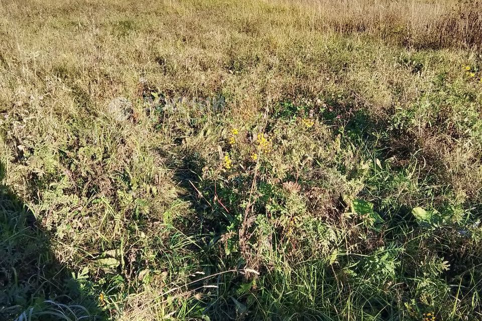 земля г Чебоксары д Чандрово ул Совхозная городской округ Чебоксары фото 2