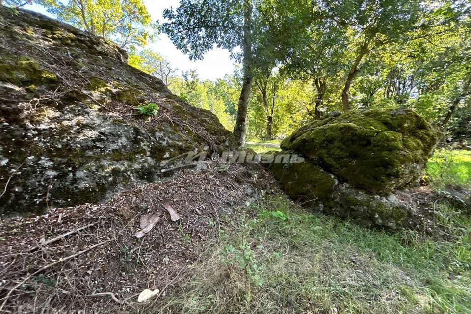 земля Алушта городской округ, Лучистое фото 3