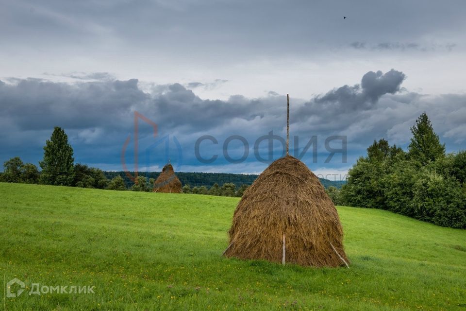 земля р-н Холмогорский д Мыза Матигорское сп, 11 фото 3