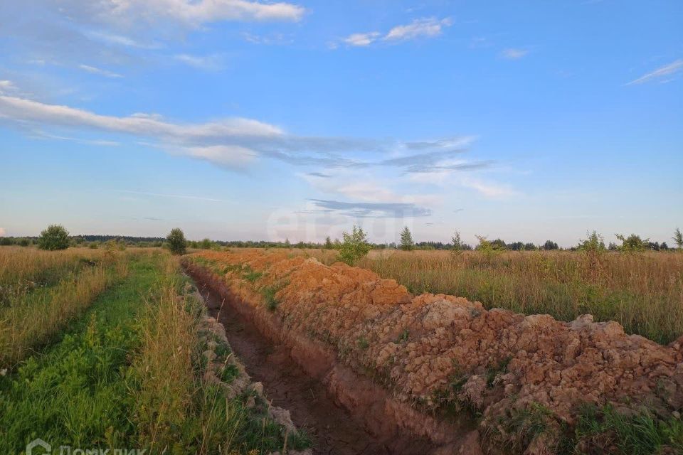 земля р-н Шекснинский Шексна фото 2