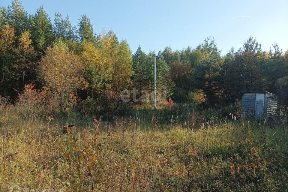 земля р-н Верхнеуслонский СНТ Родник фото 4