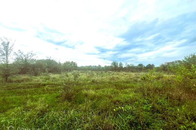 ул Васильковая Апшеронское городское поселение фото