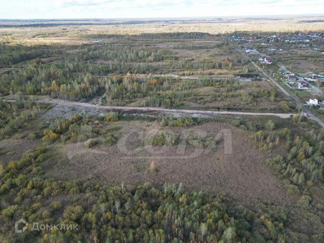 Тюмень городской округ, Ноябрьская фото