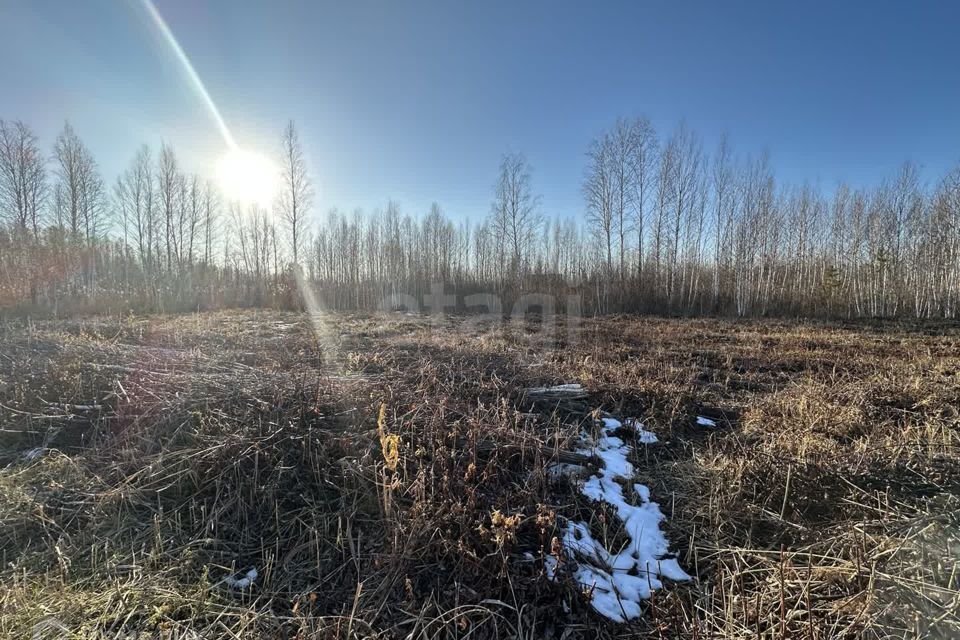 земля г Тюмень снт Сосновая поляна ул 9-я Тюмень городской округ фото 1