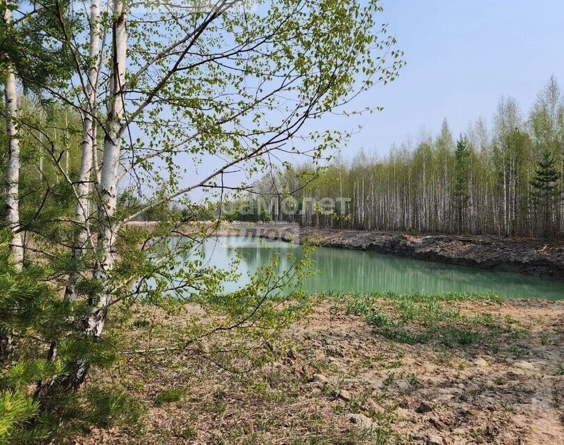 земля р-н Нижнетавдинский СНТ Геолог-2 фото 1