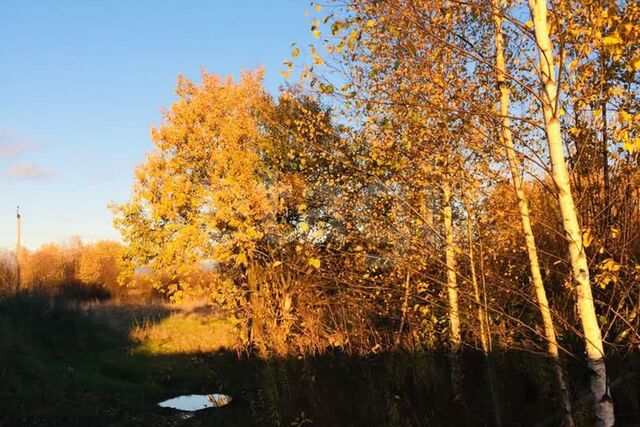 земля Индустриальный, Череповец городской округ фото