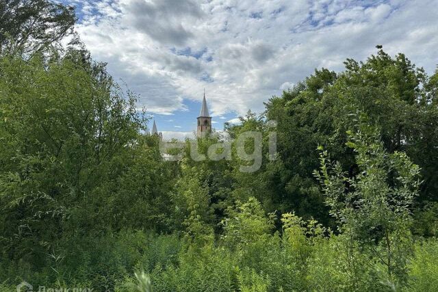 земля Бежицкий район СНТ Натуралист, Брянск городской округ фото