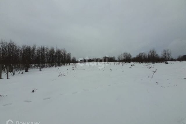 земля с Слободище ул Первомайская фото