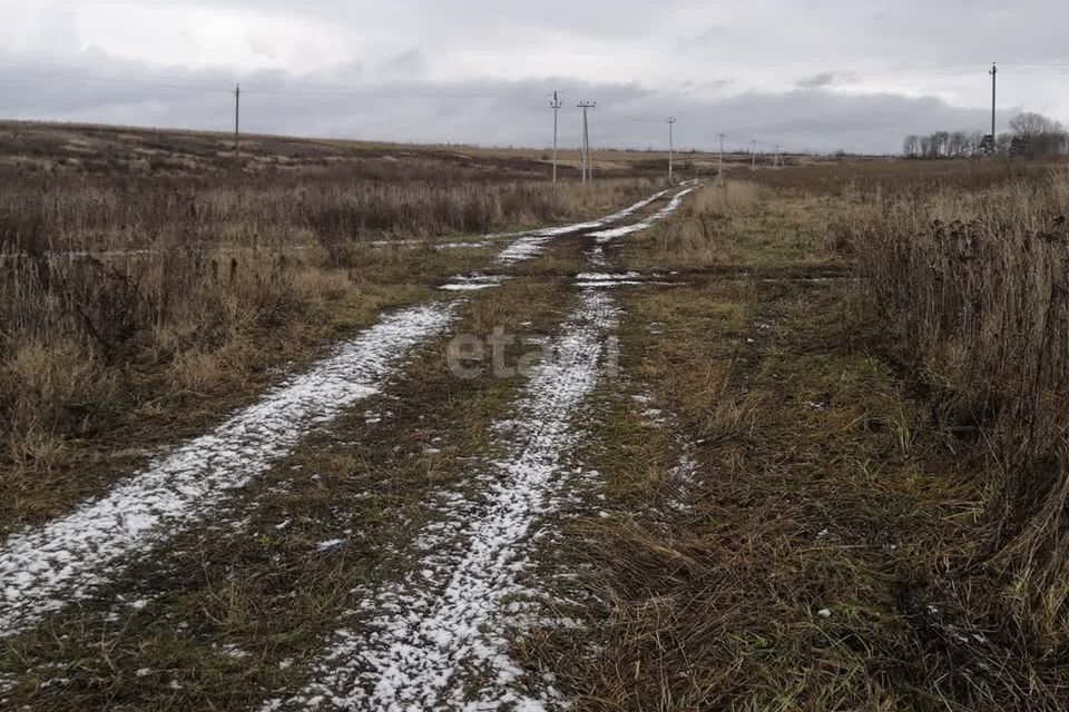 земля р-н Брянский с Отрадное ул Ленина фото 1