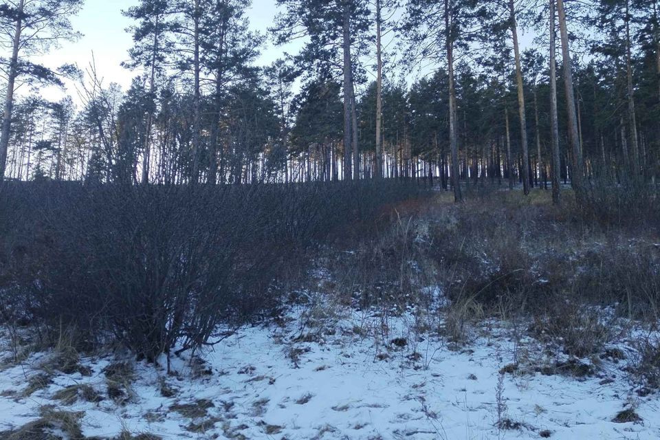 земля г Улан-Удэ р-н Железнодорожный Улан-Удэ городской округ, Железнодорожный фото 3