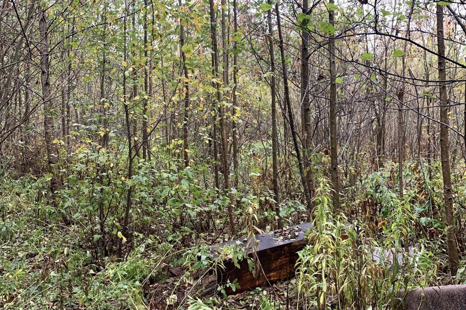 дом Калуга городской округ, 64, СНТ Ласточка фото 4