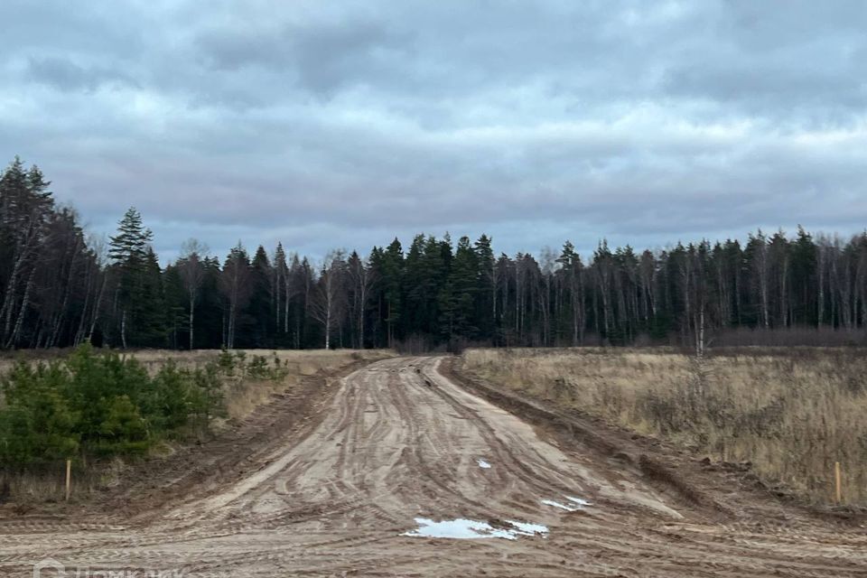 земля р-н Александровский д Малое Маринкино ул Березовая 7 фото 4