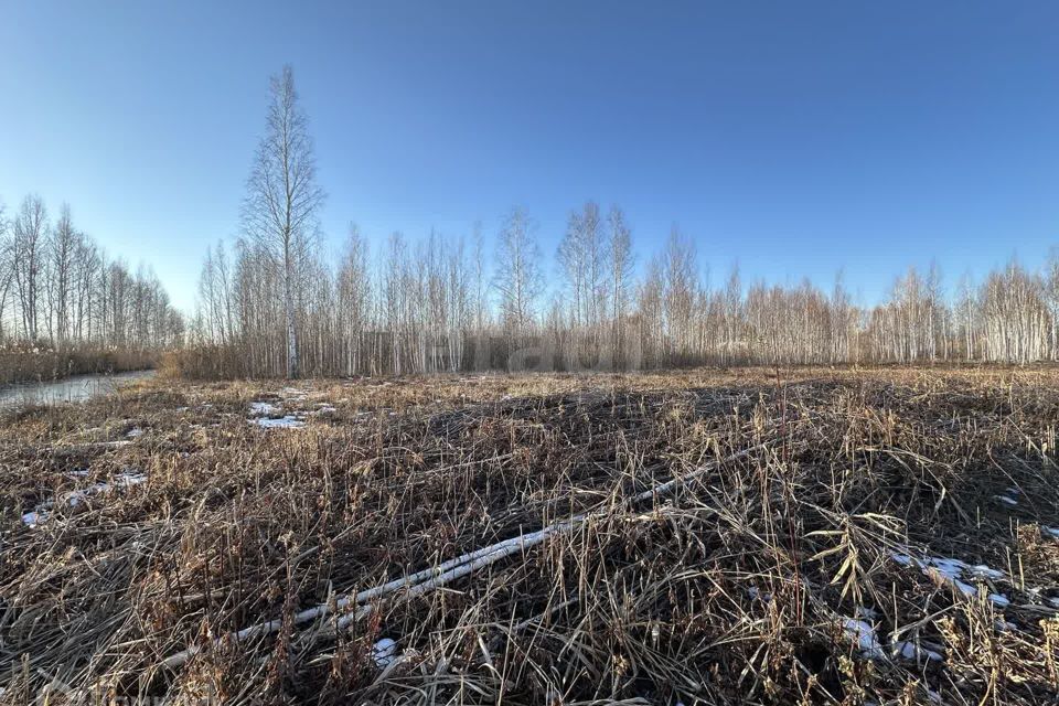 земля г Тюмень снт Сосновая поляна ул 9-я Тюмень городской округ фото 2