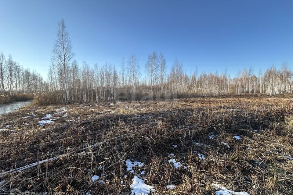 земля г Тюмень снт Сосновая поляна ул 9-я Тюмень городской округ фото 4