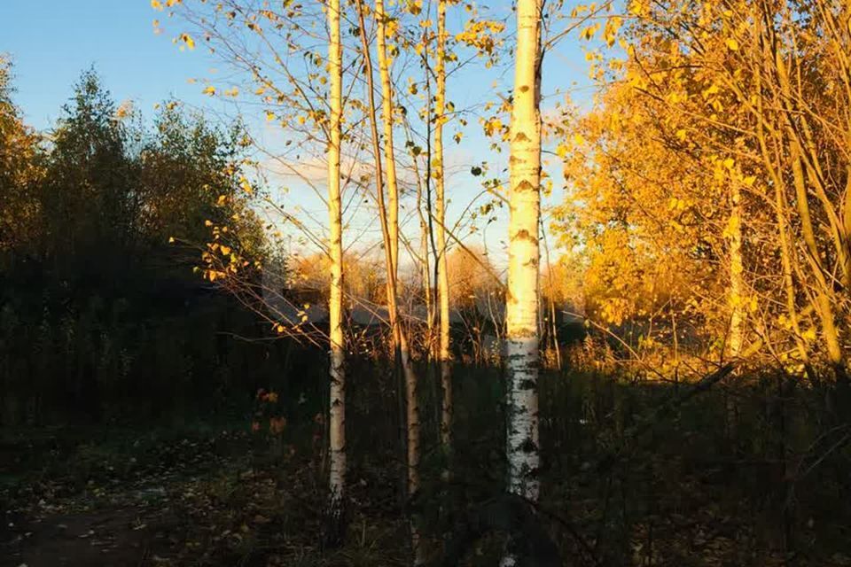 земля г Череповец Индустриальный, Череповец городской округ фото 4