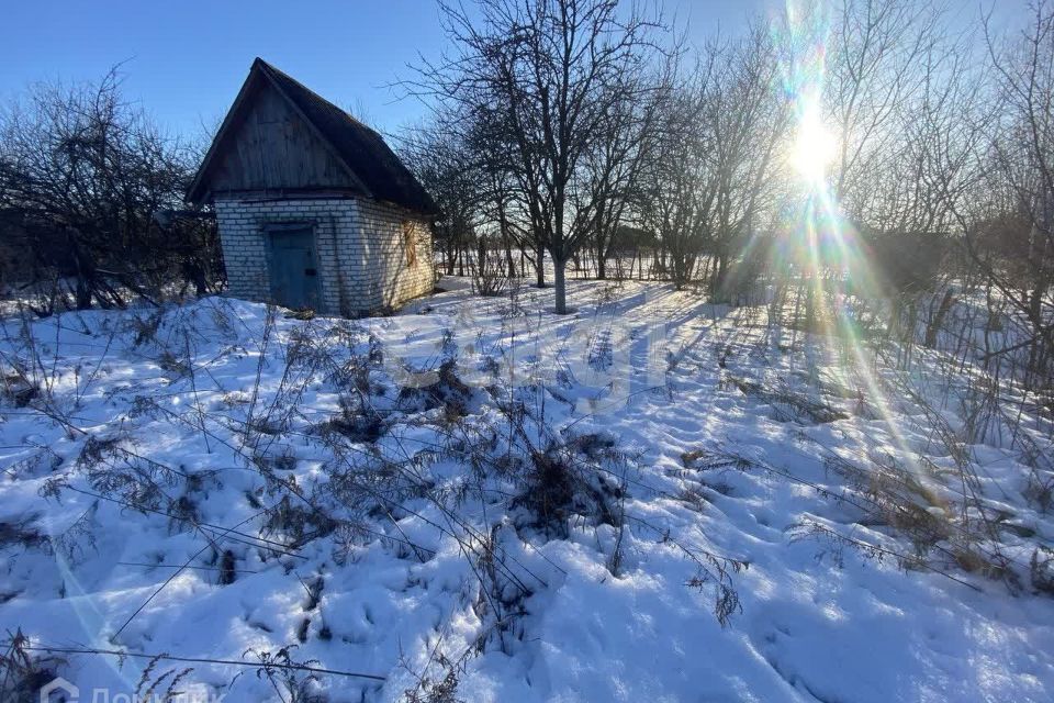 земля р-н Брянский с Толмачево СТ Русь фото 4