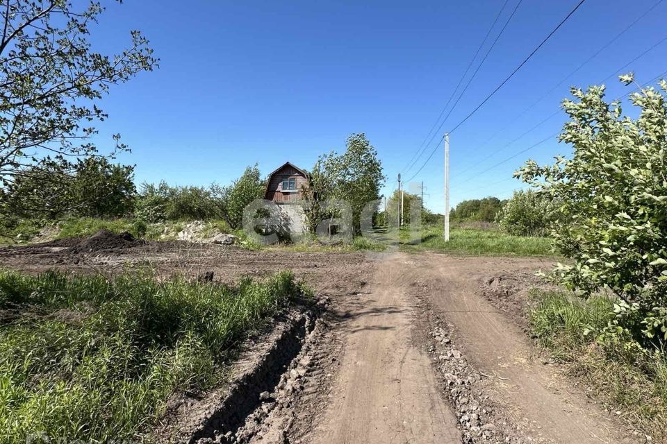 земля р-н Брянский с Толмачево СТ Реклама фото 3