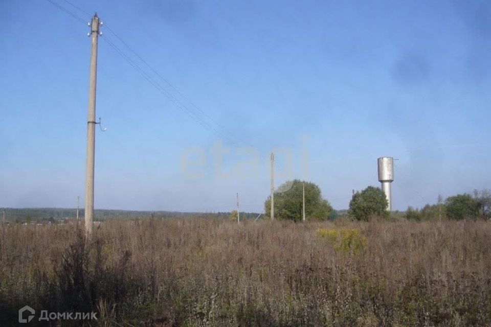 земля р-н Людиновский Вербежичи фото 4