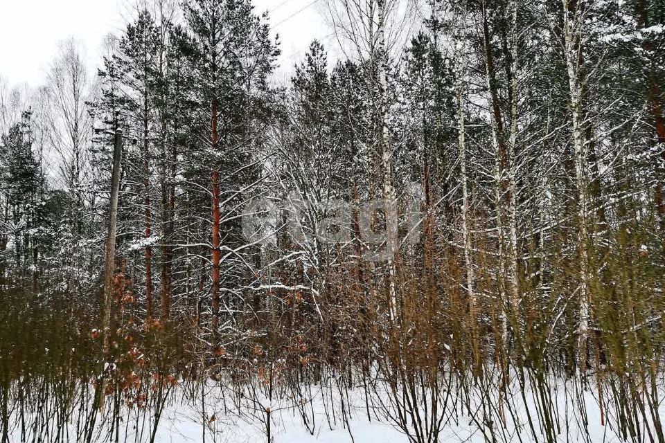 земля р-н Брасовский Коммуна фото 3