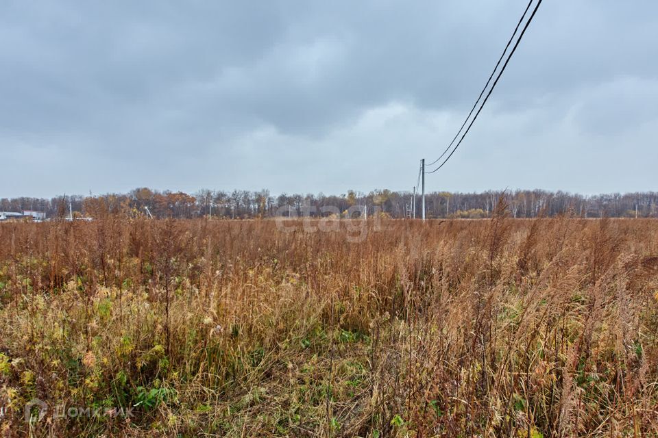 земля р-н Хабаровский Гаровка-1 фото 8