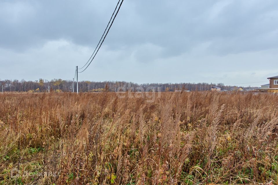 земля р-н Хабаровский Гаровка-1 фото 7