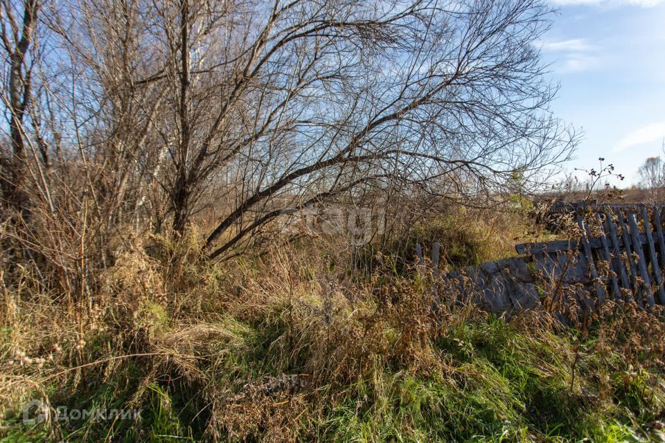 земля р-н Тобольский СО Мичуринец фото 10