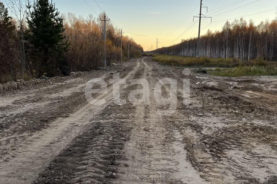 земля р-н Нижнетавдинский снт Геолог-2 Озеро Сундукуль фото 9