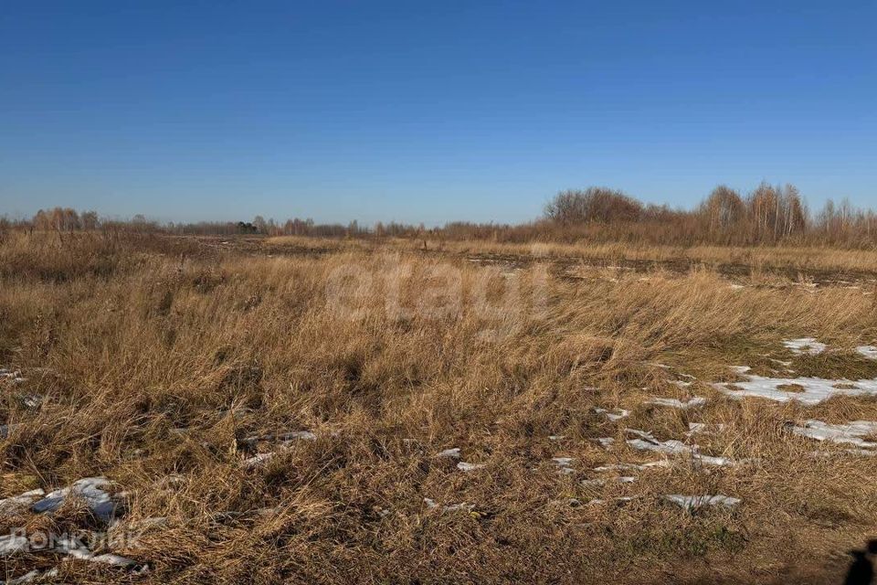 земля г Тюмень Тюмень городской округ, Коттеджный поселок Грин Парк фото 8