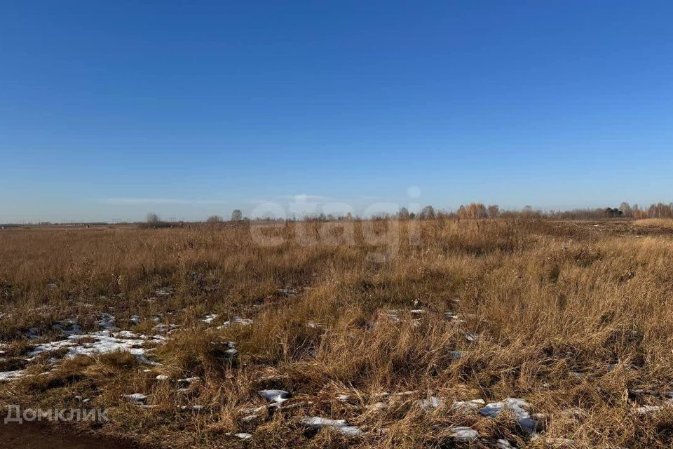 земля г Тюмень Тюмень городской округ, Коттеджный поселок Грин Парк фото 9