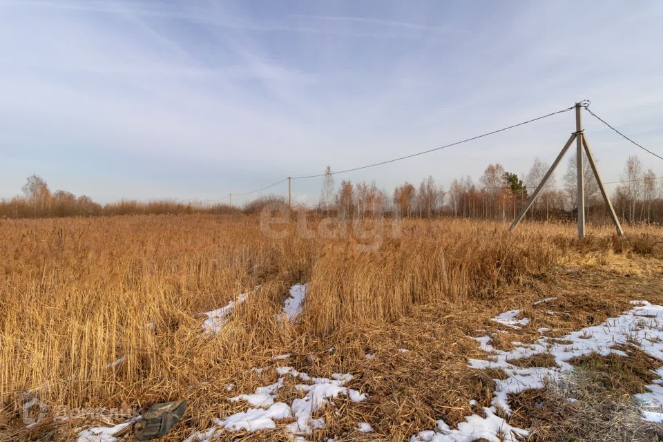 земля г Тюмень Тюмень городской округ, улица Поле чудес фото 7