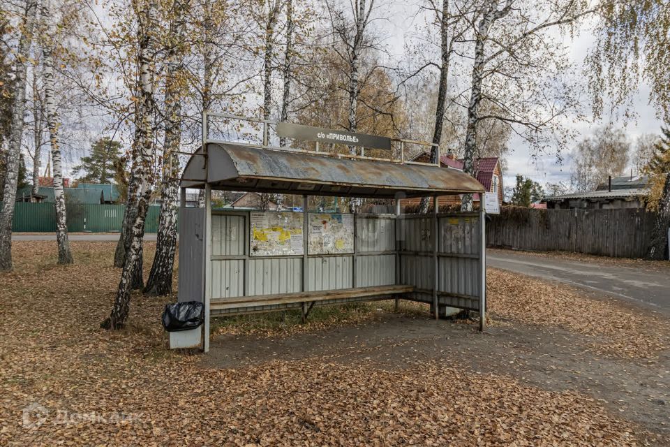 земля г Тюмень снт Липки ул Береговая Тюмень городской округ фото 10