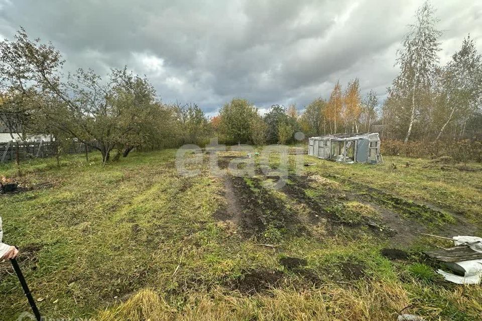 земля р-н Брянский с Толмачево СТ Ветеран-2 фото 7