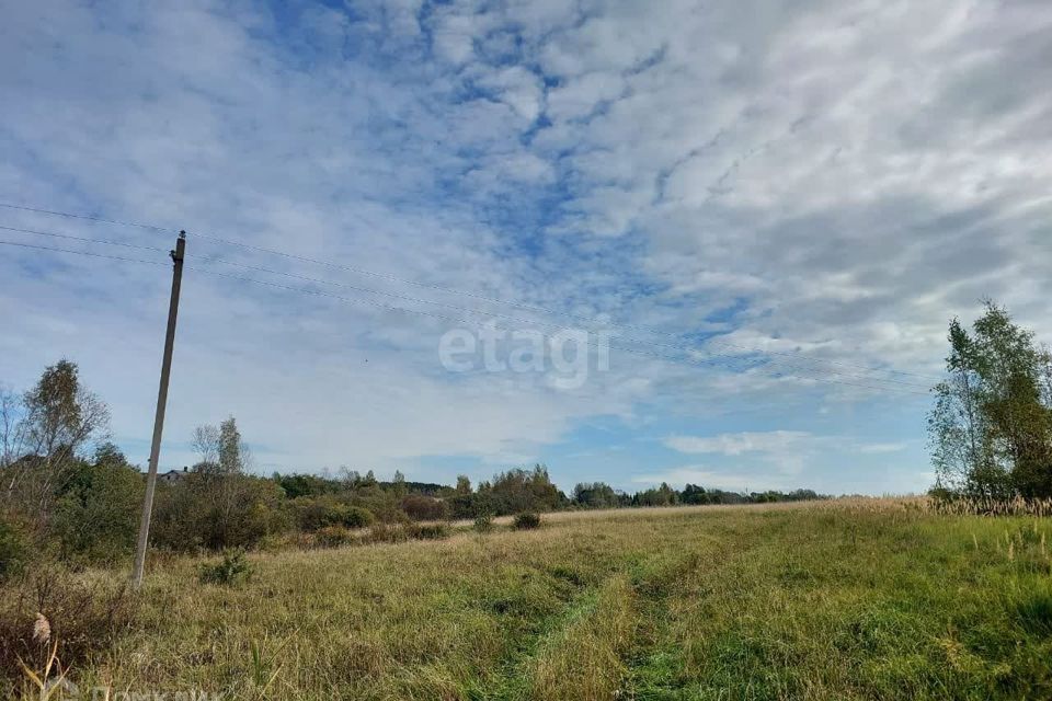 земля р-н Пушкиногорский Подкрестье фото 8