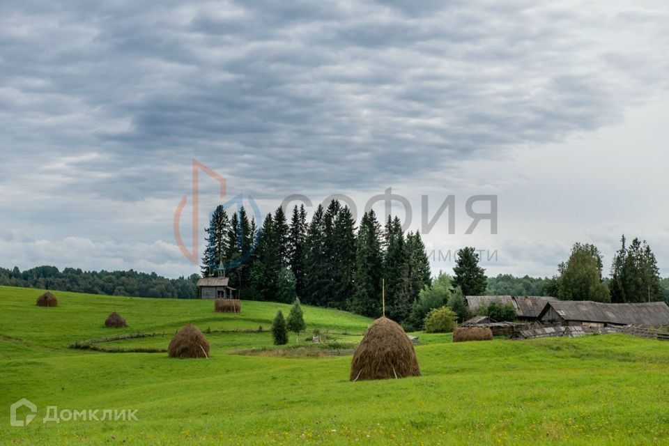 земля р-н Холмогорский д Мыза Матигорское сп, 11 фото 6