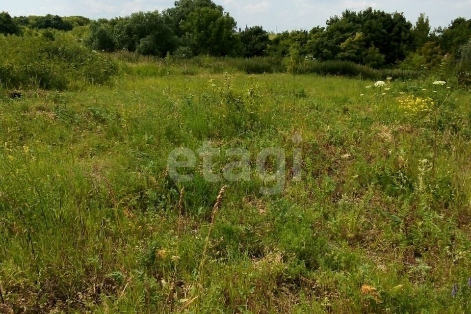 земля р-н Верхнеуслонский д Егидерево ул Центральная фото 5