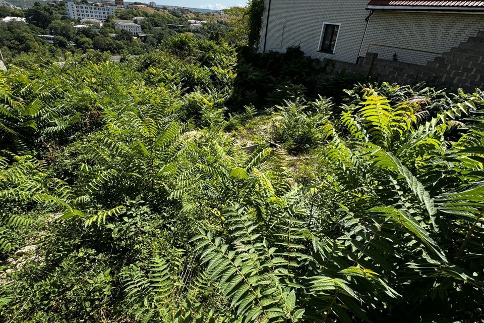 земля г Севастополь ул Хрулева 13/6 Нахимовский фото 8