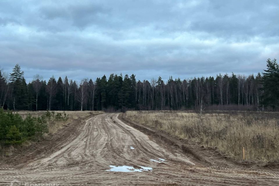 земля р-н Александровский д Малое Маринкино ул Березовая 5 фото 6