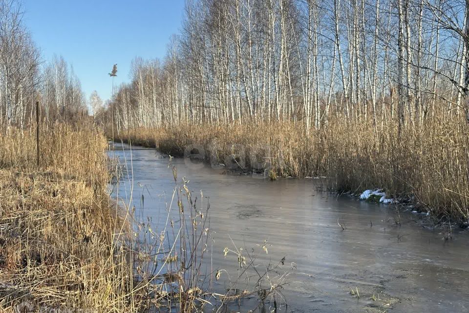 земля г Тюмень снт Сосновая поляна ул 9-я Тюмень городской округ фото 6