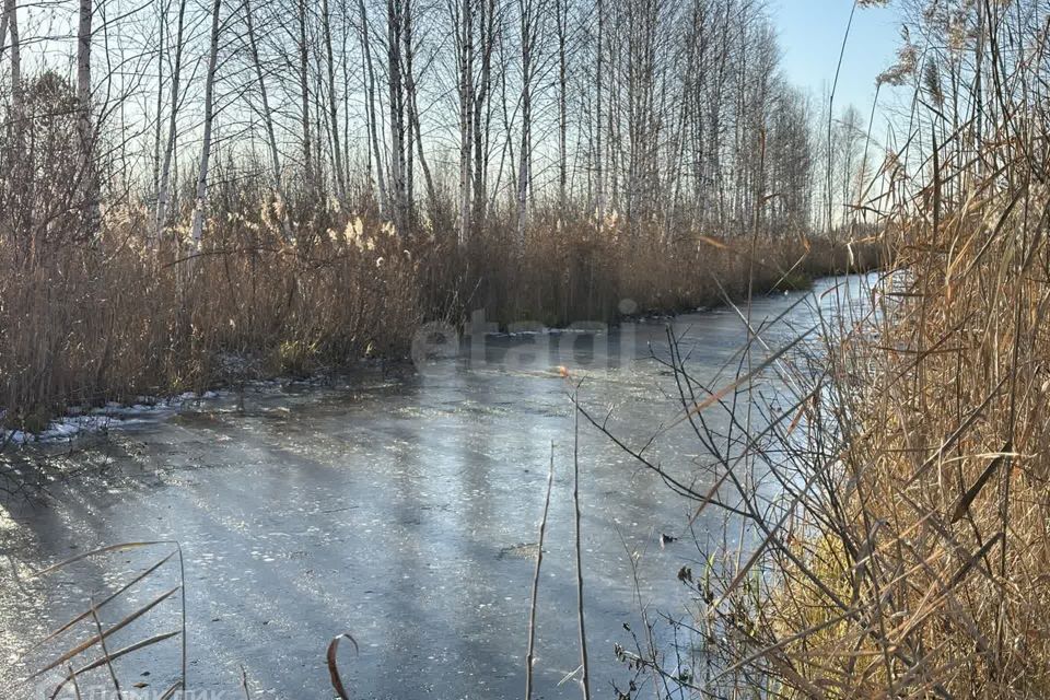 земля г Тюмень снт Сосновая поляна ул 9-я Тюмень городской округ фото 7