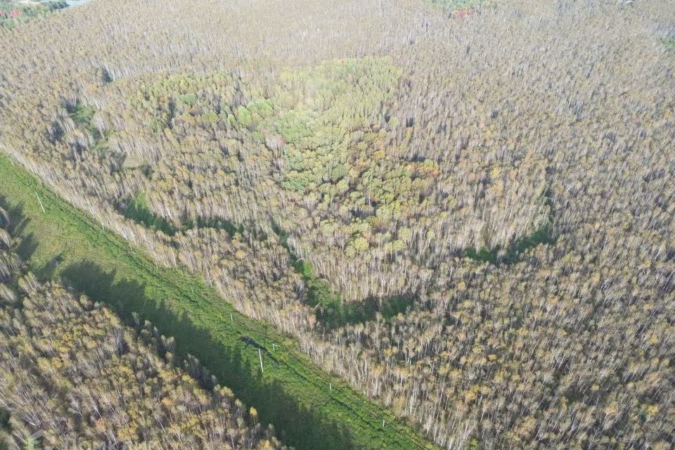 земля р-н Нижнетавдинский снт Сундукуль ул Малиновая фото 6