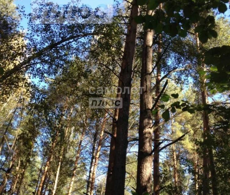 земля р-н Нижнетавдинский СНТ Геолог-2 фото 10