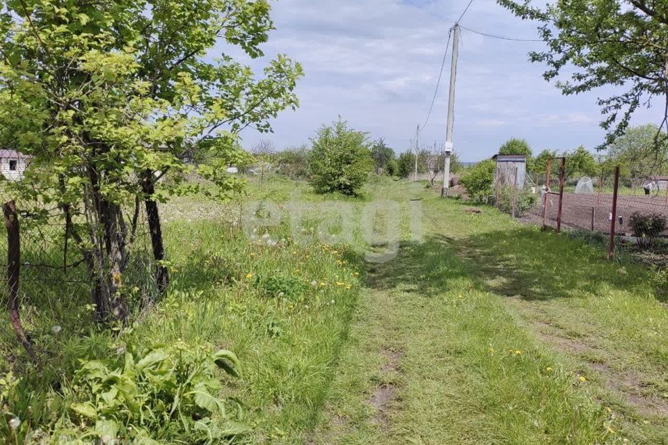 земля г Брянск рп Радица-Крыловка Бежицкий район СО Надежда, Брянск городской округ фото 8