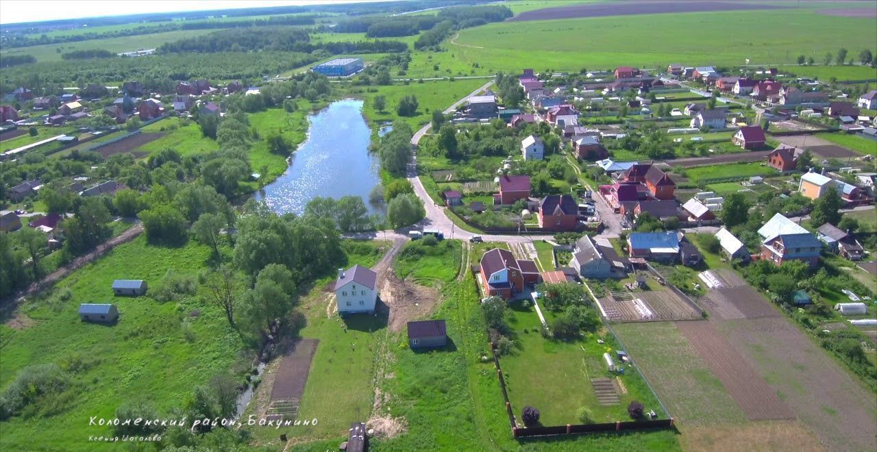 дом городской округ Коломенский д Бакунино ул Школьная 49 80 км, Коломна, Новорязанское шоссе фото 1