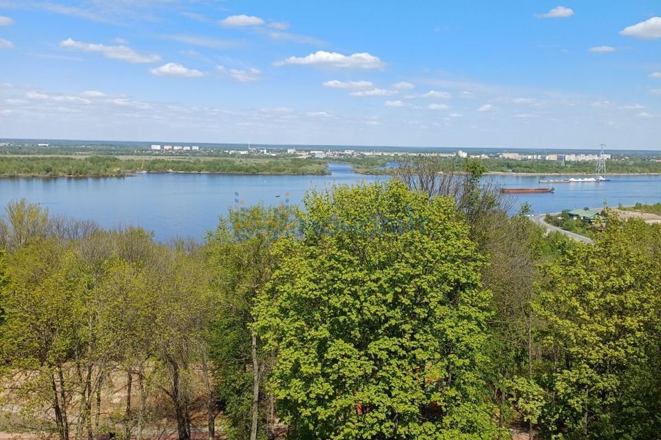 квартира г Нижний Новгород р-н Нижегородский ул Провиантская 4б Нижний Новгород городской округ фото 2