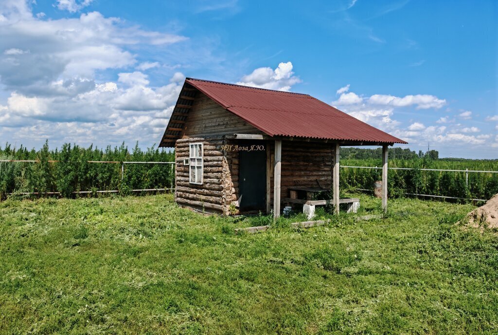 дом р-н Омский д Петровка Лузинское сельское поселение фото 1