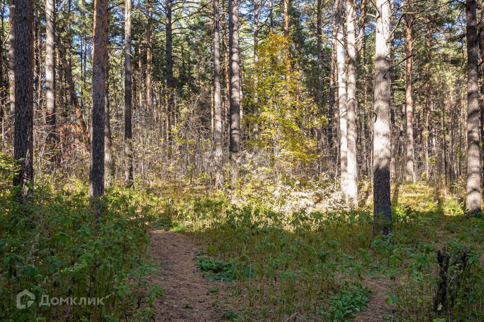 квартира г Новосибирск р-н Советский ул Лесосечная 8 Новосибирск городской округ фото 6