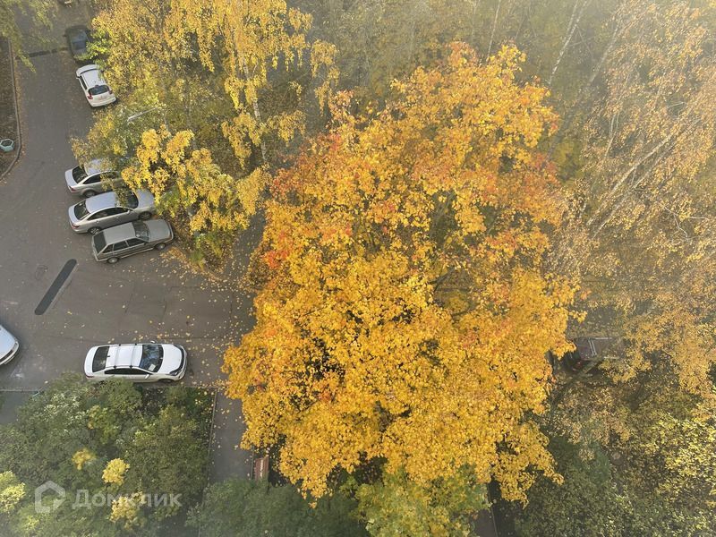 квартира г Санкт-Петербург ул Руставели 58/1 Калининский фото 4