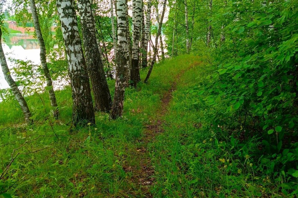 земля г Раменское дп Лесной Прибрежный 20, Раменский городской округ фото 3